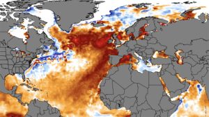 2023 Marine Heat Waves