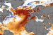 2023 Marine Heat Waves