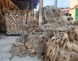 भारत में बांग्लादेशी जूट उत्पादों पर प्रतिबंध: घरेलू उद्योग की रक्षा या कूटनीतिक दबाव?