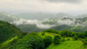 पश्चिमी घाट में पर्यावरणीय रूप से संवेदनशील क्षेत्र (ESA) का निर्धारण: तीन राज्यों के लिए अलग अधिसूचना पर विचार