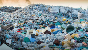 प्लास्टिक प्रदूषण पर रोक के लिए तत्काल प्रतिबंध अधिक प्रभावी: WWF अध्ययन में हुआ खुलासा