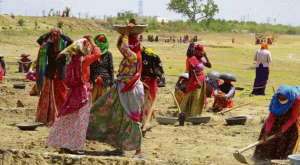 जून 2025 में बेरोजगारी दर स्थिर, महिला श्रम भागीदारी में गिरावट: पीएलएफएस रिपोर्ट