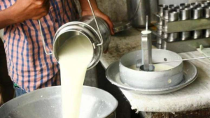 असम में दुग्ध उत्पादन को प्रोत्साहन: किसानों को मिलेगा ₹5 प्रति लीटर दूध पर सब्सिडी