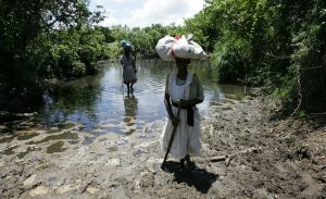 Africa’s Wetlands Face Critical Degradation Challenges