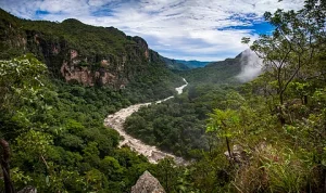 Afro-Descendant Lands Reduce Latin America Deforestation Rates