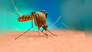 Andhra Pradesh Launches Smart Mosquito Surveillance System