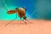 Andhra Pradesh Launches Smart Mosquito Surveillance System
