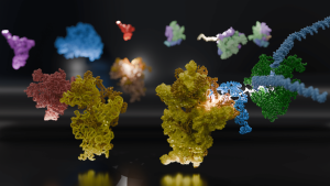 Breakthrough Molecular Imaging Technique Reveals Real-Time Motion