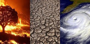 Climate Change Impact on Global Education Outcomes