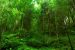 Eco-Sensitive Zone Guidelines