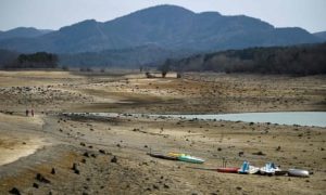 Europe Faces Rising Heatwave Crisis and Climate Challenges