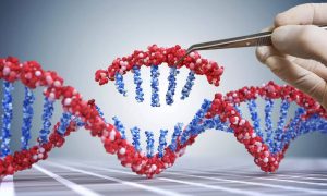 Gujarat Launches Tribal Genome Sequencing Initiative