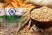 India Raises Reserve Prices For Wheat And Rice