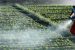 India’s Fertiliser Security