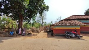 India’s Forest Land Diversion Sparks Legal Controversy