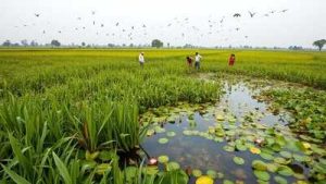 India’s Resolution on Sustainable Wetlands Lifestyle
