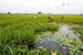 India’s Resolution on Sustainable Wetlands Lifestyle