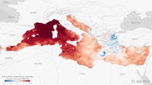 Mediterranean Marine Heatwave