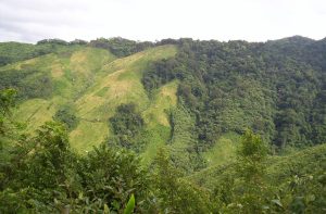 Meghalaya Rainfall Declines