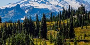 Mount Rainier Earthquake Swarm