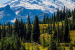 Mount Rainier Earthquake Swarm