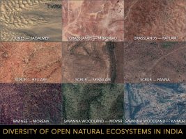 Open Natural Ecosystems