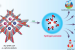 Photocatalytic Hydrogen Peroxide Production Using Mo-DHTA COF