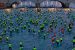 Seine River Clean-Up