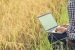 Smart Irrigation Plan Saves Water in Drought Regions
