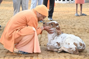 गोबर से बनेगा बायोप्लास्टिक: यूपी सरकार की नवाचार पहल से गांवों में ऊर्जा, रोजगार और पर्यावरण संरक्षण