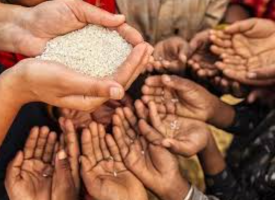 वैश्विक भूख से लड़ाई में भारत की निर्णायक भूमिका: पोषण की ओर बढ़ते कदम