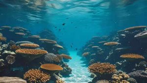 Ancient Mud Waves Rewrite Atlantic Ocean History