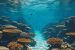 Ancient Mud Waves Rewrite Atlantic Ocean History