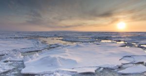 Arctic Sea Ice Loss Slows Temporarily