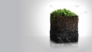 Biochar’s Role in India’s Emerging Carbon Market