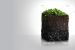 Biochar’s Role in India’s Emerging Carbon Market
