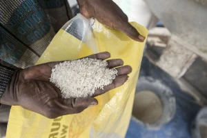 Fortified Rice Initiative Strengthens Nutrition in India