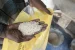 Fortified Rice Initiative Strengthens Nutrition in India