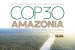 Global Climate Action at COP 30 in Brazil