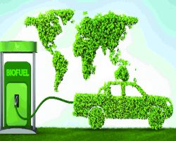 India-Brazil Biofuels Alliance