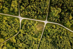 India’s Pension Funds Role In Green Economy Transition