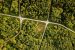 India’s Pension Funds Role In Green Economy Transition