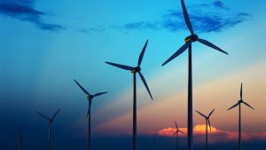 India’s Wind Energy Growth and Wildlife Challenges