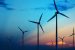 India’s Wind Energy Growth and Wildlife Challenges