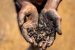 Mines and Minerals Amendment Bill 2025