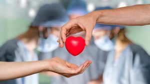 NOTTO’s 10-Point Plan Prioritises Women in Organ Transplants