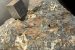 Nickel, Copper, and Platinum Group Elements
