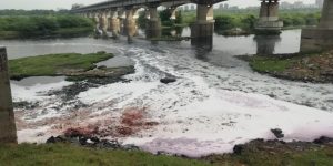 Pollution Status of Gujarat Rivers
