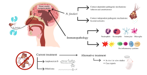 Primary Amoebic Meningoencephalitis