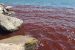 Sea of Galilee Turns Red